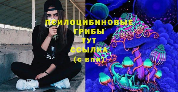 хмурый Белоозёрский