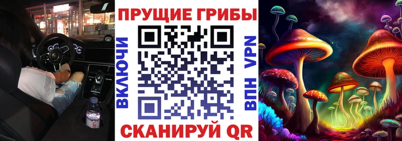 как найти закладки  Гулькевичи  Галлюциногенные грибы GOLDEN TEACHER 